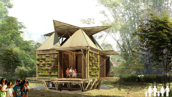 Casas-bambu